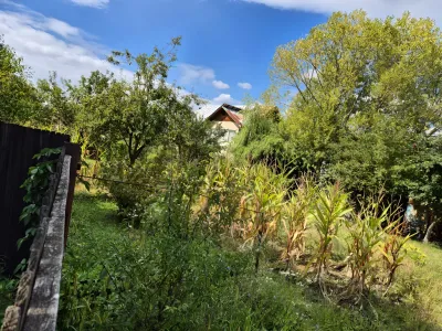 teren intravilan cu gradina vanzare cumparare Valea Ursului Argeș